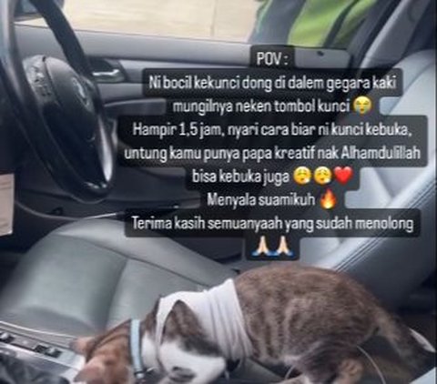 Momen Lucu Mobil Terkunci dari Dalam Gara-Gara Tingkah Kucing