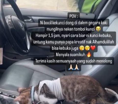 Momen Lucu Mobil Terkunci dari Dalam Gara-Gara Tingkah Kucing