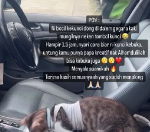 Momen Lucu Mobil Terkunci dari Dalam Gara-Gara Tingkah Kucing