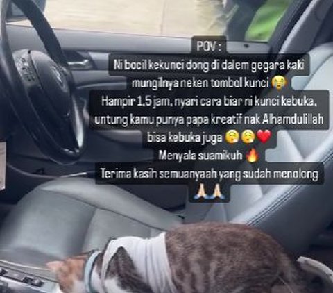 Momen Lucu Mobil Terkunci dari Dalam Gara-Gara Tingkah Kucing