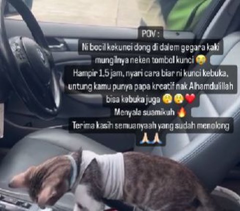 Momen Lucu Mobil Terkunci dari Dalam Gara-Gara Tingkah Kucing