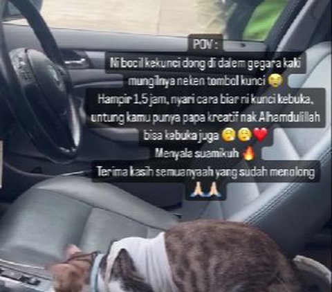 Momen Lucu Mobil Terkunci dari Dalam Gara-Gara Tingkah Kucing