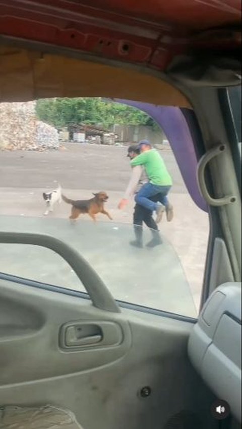 Sosok Pak Satpam ini Jadi Pahlawan Seorang Pria Diserang Anjing, Korban Sampai Nemplok Digemblok Bak Anak Kecil