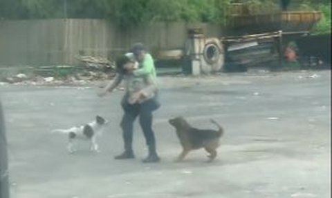 Sosok Pak Satpam ini Jadi Pahlawan Seorang Pria Diserang Anjing, Korban Sampai Nemplok Digemblok Bak Anak Kecil