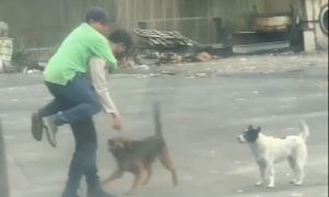 Sosok Pak Satpam ini Jadi Pahlawan Seorang Pria Diserang Anjing, Korban Sampai Nemplok Digemblok Bak Anak Kecil