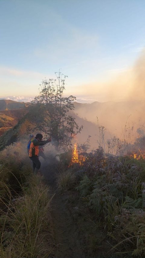Kronologi Gunung Batok Kebakaran, Api Mengarah ke Gunung Bromo<br>
