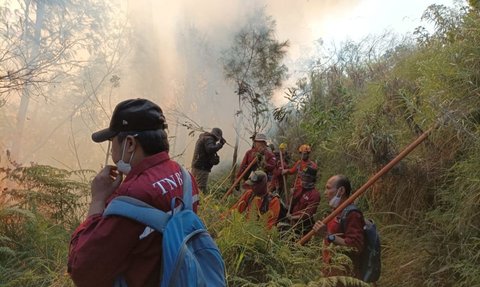 Kronologi Gunung Bathok Kebakaran, Api Mengarah ke Bromo