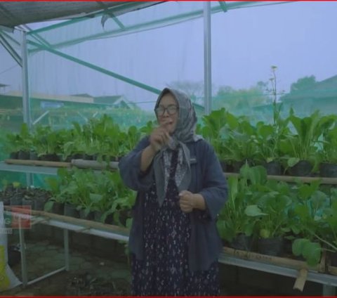 Berawal dari Sepedaan Bareng, Ibu-Ibu di Wonogiri Ini Sulap Lahan Tidur jadi Kebun Sayur