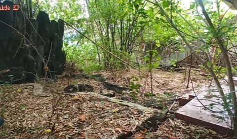 Bukan hanya kolam renang, taman belakang rumah mewah ini juga tampak sudah tertutup oleh sampah daun kering. <br>