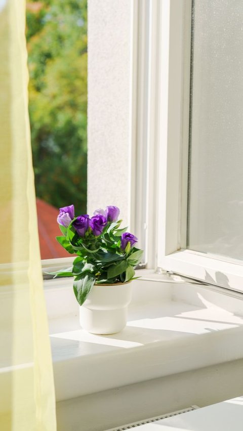 2. Buka Pintu dan Jendela Agar Sirkulasi Udara di Dalam Rumah Lebih Lancar