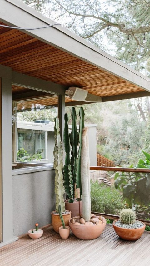 Desain Balkon Terbuka dengan Tanaman Kaktus