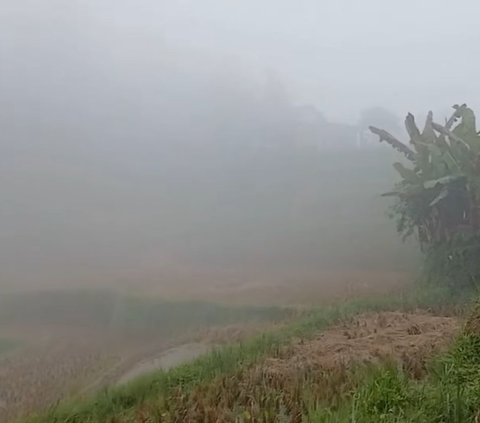 Ada Kampung Unik di Tasikmalaya, saat Hujan Rumah-Rumah Warga Tidak Terlihat