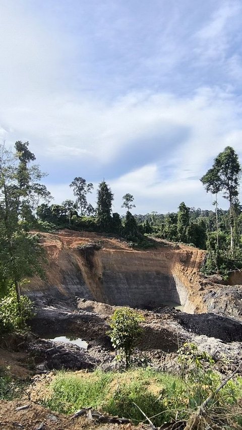 Industri Tambang Tak Bikin Untung Masyarakat, Ini Buktinya