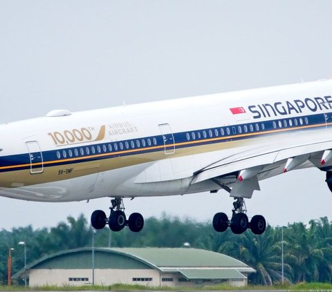 10 Best Airlines in the World 2024, Singapore Airlines Overtakes Garuda Indonesia in the Best Cabin Crew Category