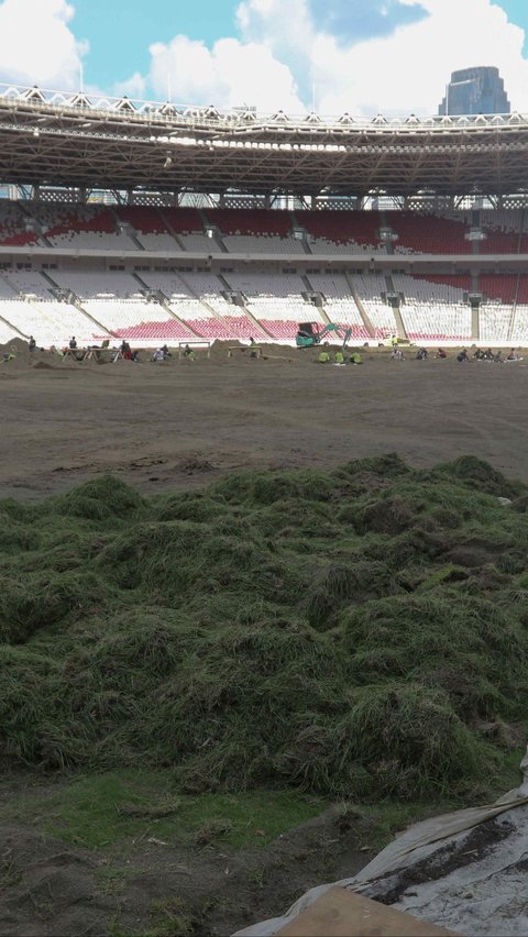 Kualitas rumput lapangan Stadion GBK saat itu tampak rusak dan tidak rata. Liputan6.com/Herman Zakharia
