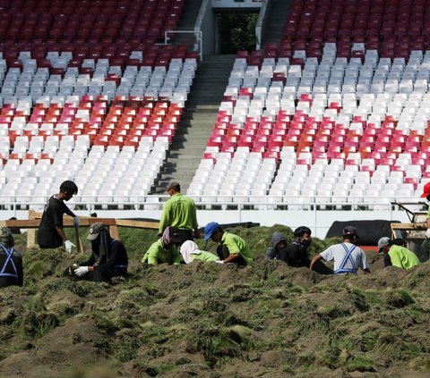 FOTO: Penampakan Terkini Revitalisasi Lapangan Stadion Gelora Bung Karno, Rumput Dibongkar dan Akan Ditanam Ulang