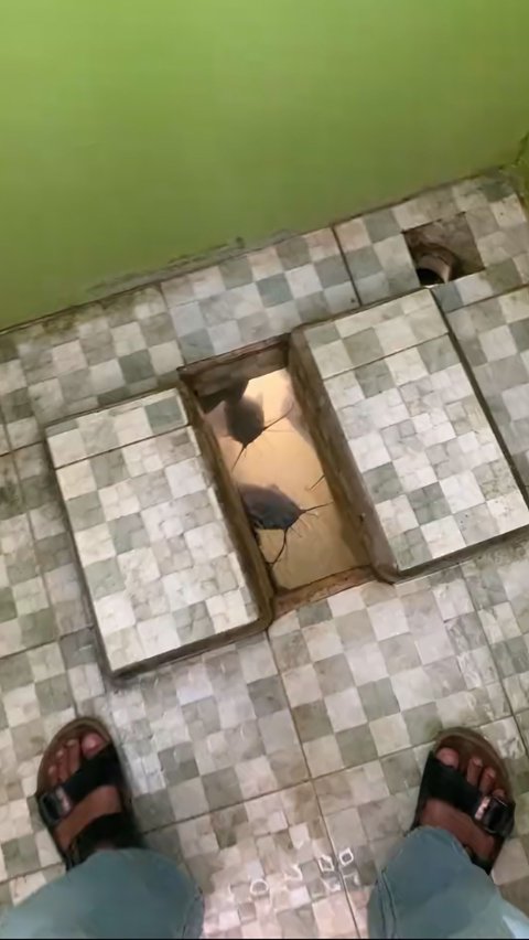 Apparently the Rumor is True! This Squat Toilet Design is Bizarre, the Hole Underneath is Turned into a Pond for Breeding Catfish