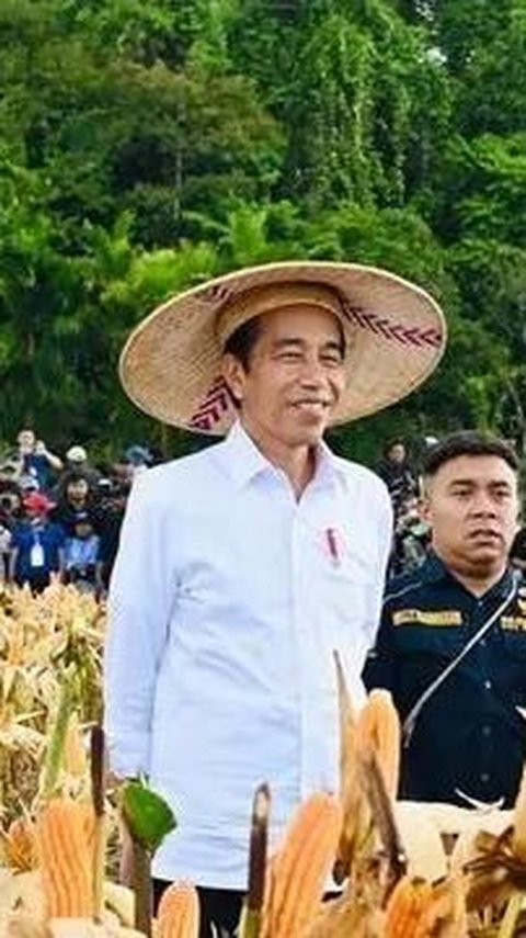 Jokowi Cari Investor untuk Proyek Food Estate