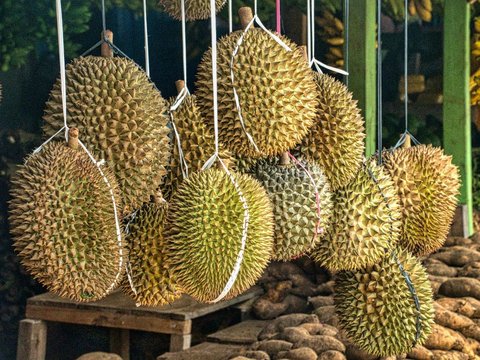 35 Funny Words about Durian that Make You Laugh Out Loud