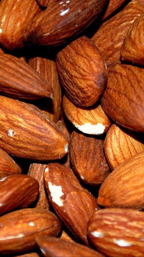 9 Manfaat Kacang Almond untuk Promil, Efektif Tingkatkan Peluang Hamil