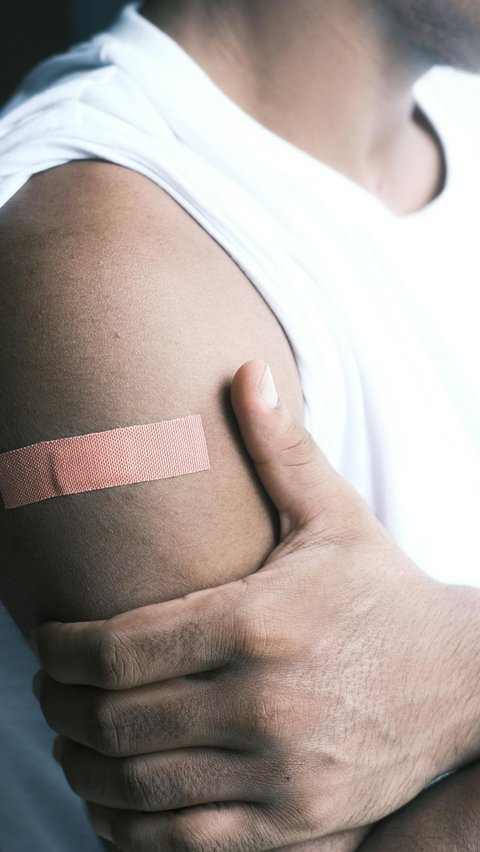 Manfaat daun binahong untuk menjaga kesehatan, salah satunya adalah untuk menurunkan kolesterol.