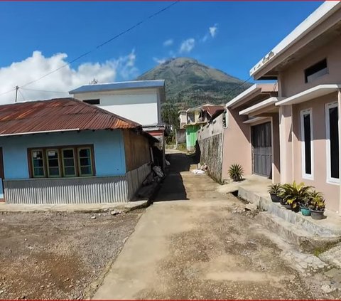 Menilik Keindahan Perkampungan di Lereng Gunung Sindoro, Mayoritas Warga Bekerja Sebagai Pemetik Teh