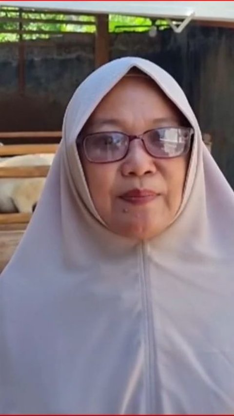 Wanita Ini Banting Setir dari Karyawan Jadi Peternak Domba, Omzet Capai Rp200 Juta Per Tiga Bulan