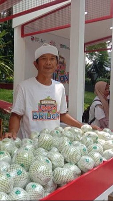 KUR BRI Dorong Kemajuan Klaster Jambu Kristal di Purworejo