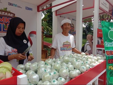 KUR BRI Dorong Kemajuan Klaster Jambu Kristal di Purworejo