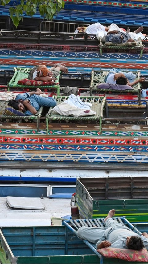 Para sopir bus juga memanfaatkan atap bus untuk tidur nyenyak di bawah pohon rindang. Foto: ARIF ALI / AFP<br>