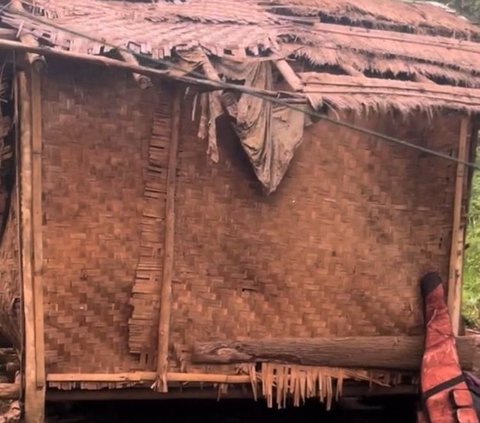 Viral satu keluarga tinggal di gubuk tak layak huni di tengah hutan, bikin pilu.