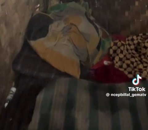 Viral Satu Keluarga Tinggal di Gubuk Tak Layak Huni di Tengah Hutan, Bikin Pilu