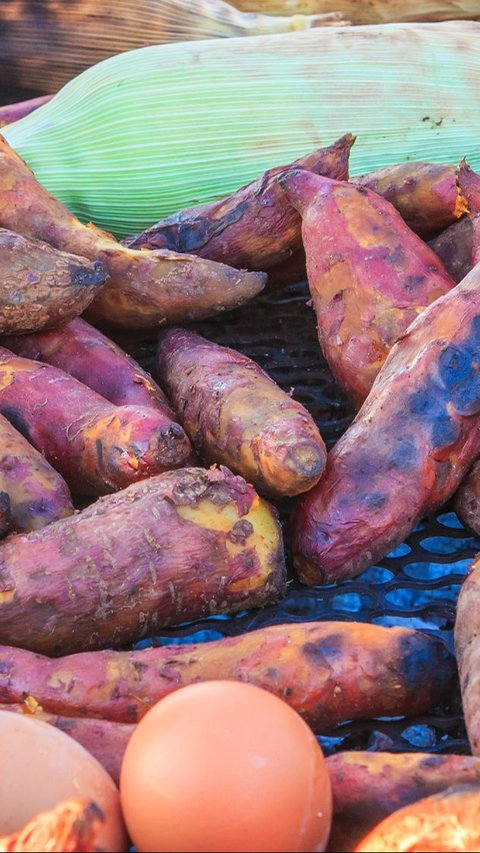 Arkeolog Teliti Kotoran Mumi Berusia Ribuan Tahun, Hasilnya Ungkap Pola Makan Manusia Dulu Ternyata Aneh