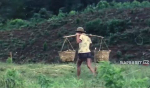 Suasana Kampung Masih Dipenuhi Sawah dan Hutan