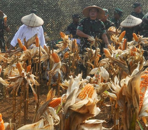 Ia menyatakan bahwa langkah ini merupakan salah satu strategi untuk meningkatkan ketahanan pangan di Indonesia, terutama dalam menghadapi perubahan iklim dan fluktuasi harga pangan global. Foto: merdeka.com / Arie Basuki<br>