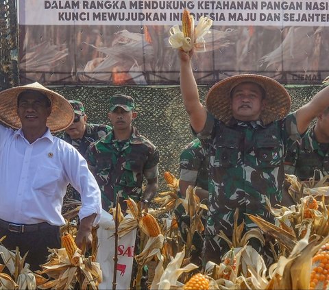 FOTO: Mesra Panen Jagung di Ciletuh, KASAD dan Mentan Bersinergi Mengubah Lahan Tidur Jadi Area Food Estate