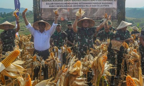 FOTO: Mesra Panen Jagung di Ciletuh, KASAD dan Mentan Bersinergi Mengubah Lahan Tidur Jadi Area Food Estate