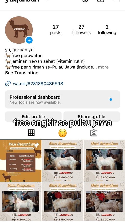 Melalui akun Instagram pribadinya, ia menjual kambing dengan layanan pengiriman gratis se-Pulau Jawa.