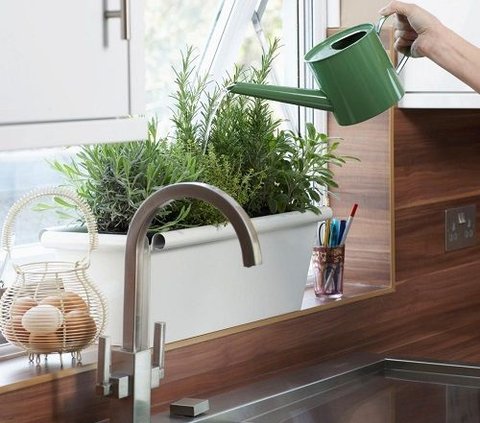 7 Beautiful and Aesthetic Kitchen Designs with Plants