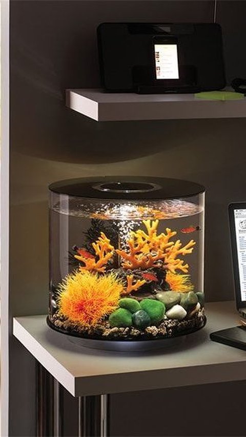 Mini Aquarium Shaped Jar