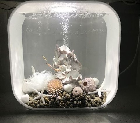 8 Mini Aquarium Design Models in the Room to Make the Space More Alive