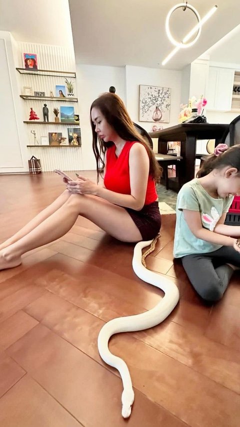 Quality Time with Aura Kasih and Her Unique Daughter, Playing with Snakes