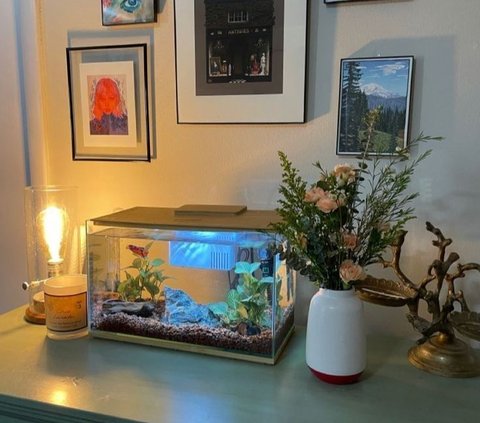 8 Desain Akuarium Mini di Kamar untuk Membuat Ruangan Lebih Hidup