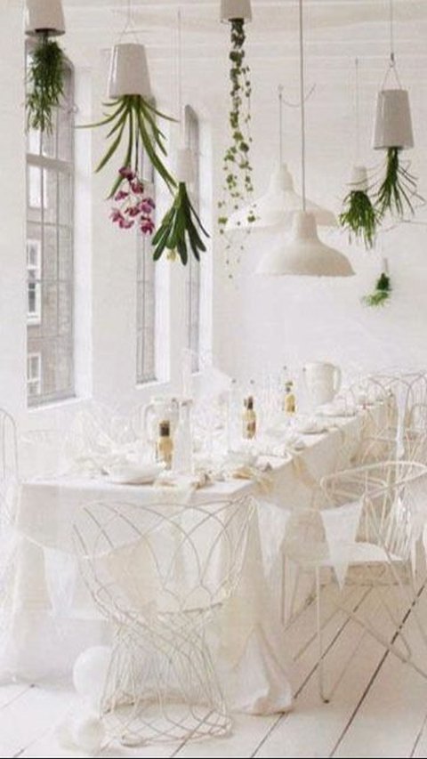 Inspirasi desain dapur estetik dengan tanaman yang bakal bikin nyaman.