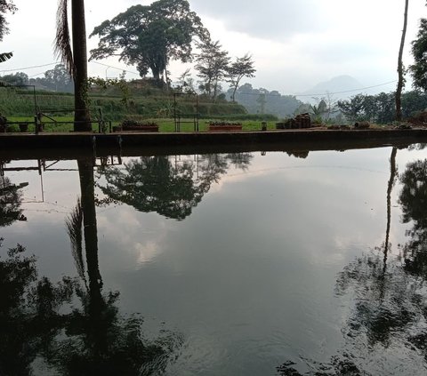 Mengunjungi Desa Madiredo Malang, Tempat Sempurna Kabur dari Hiruk Pikuk Perkotaan dan Merasakan Kedamaian Alam