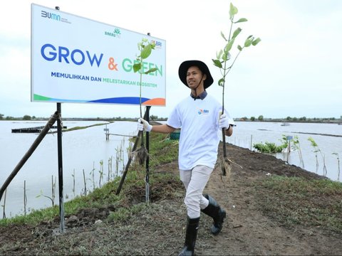 Fokus Jalankan Bisnis Berkelanjutan, BRI Masuk Daftar CNBC Indonesia Green Business Ratings 2024