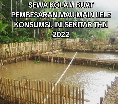 Nekat Resign dari Karyawan BUMN Bergaji Tinggi, Pria Ini Pilih Jadi Peternak Lele di Kampung