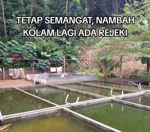 Adapun alasannya keluar dari BUMN karena ingin menemani ibunya yang tinggal sendiri di kampung halamannya.