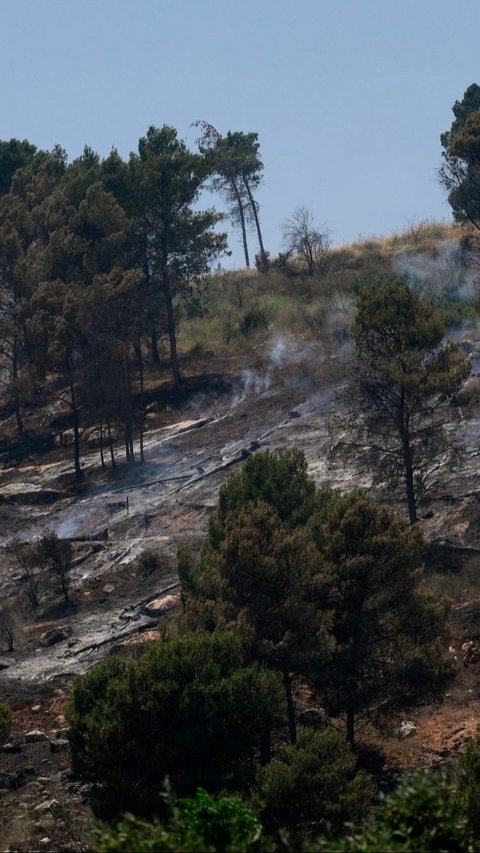 Peluncuran rudal dan drone Hizbullah dari Lebanon telah menyebabkan kebakaran yang meluas di Israel utara, wilayah Palestina yang didudukinya.<br>