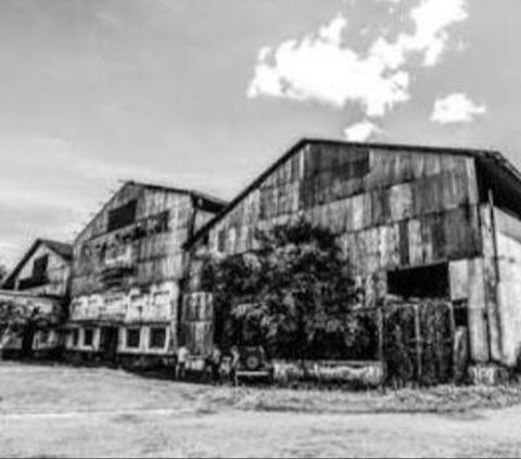 Menguak Sejarah Pabrik Gula Ceper di Klaten, Punya Halaman yang Luas Namun Kini Terbengkalai
